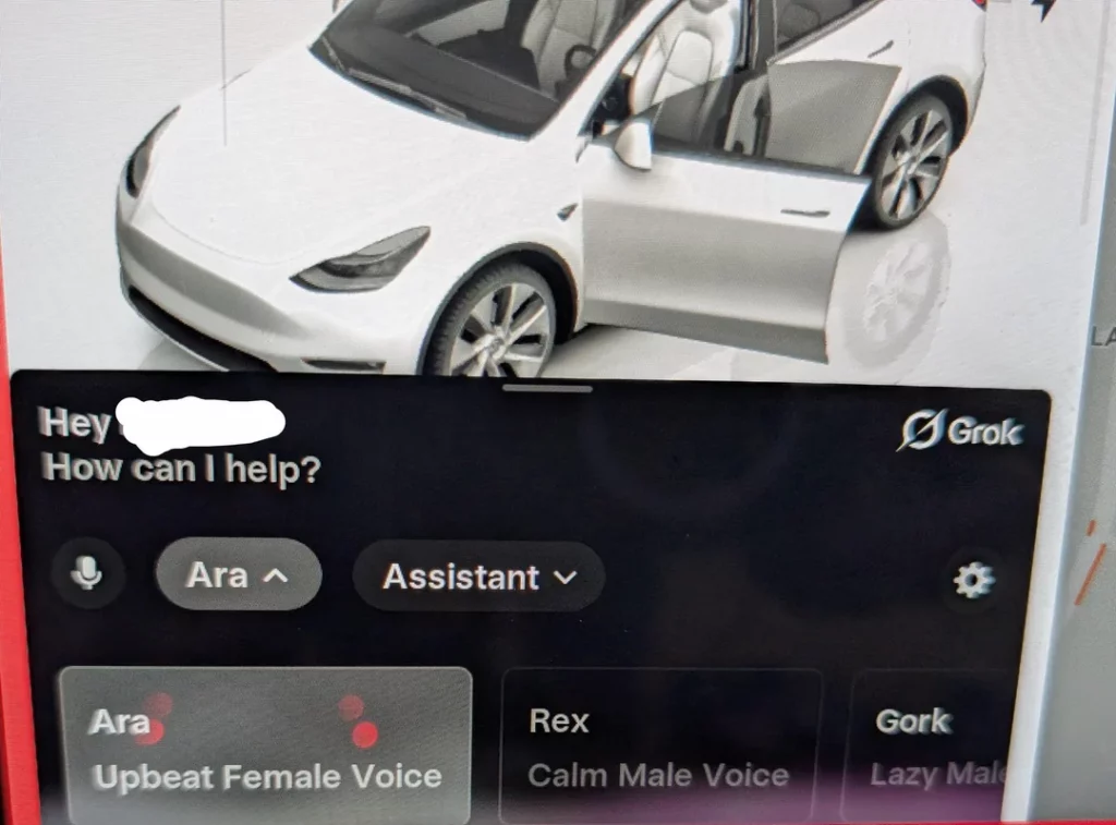 Tesla Grok Prompt Voices