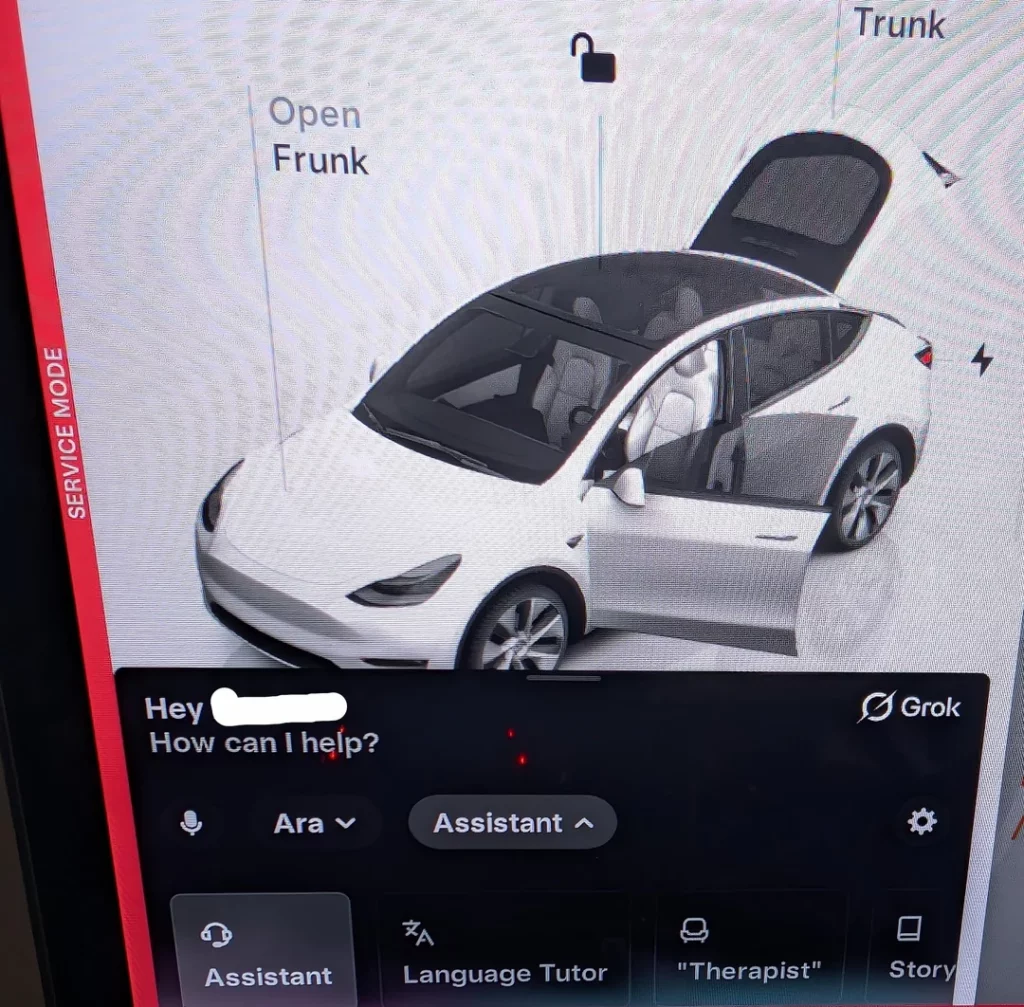 Tesla Grok Prompt Voices
